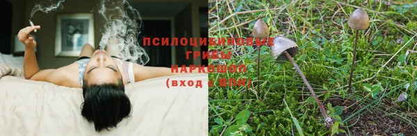 COCAINE Новозыбков