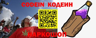 шишки Камышлов