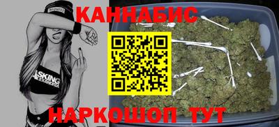 шишки Камышлов