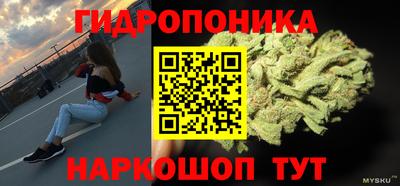 шишки Камышлов