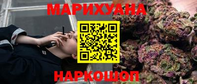 шишки Камышлов