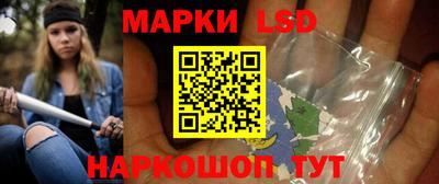 шишки Камышлов