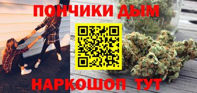 шишки Камышлов