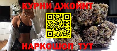 шишки Камышлов
