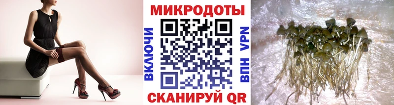 Галлюциногенные грибы мицелий  Нарткала 
